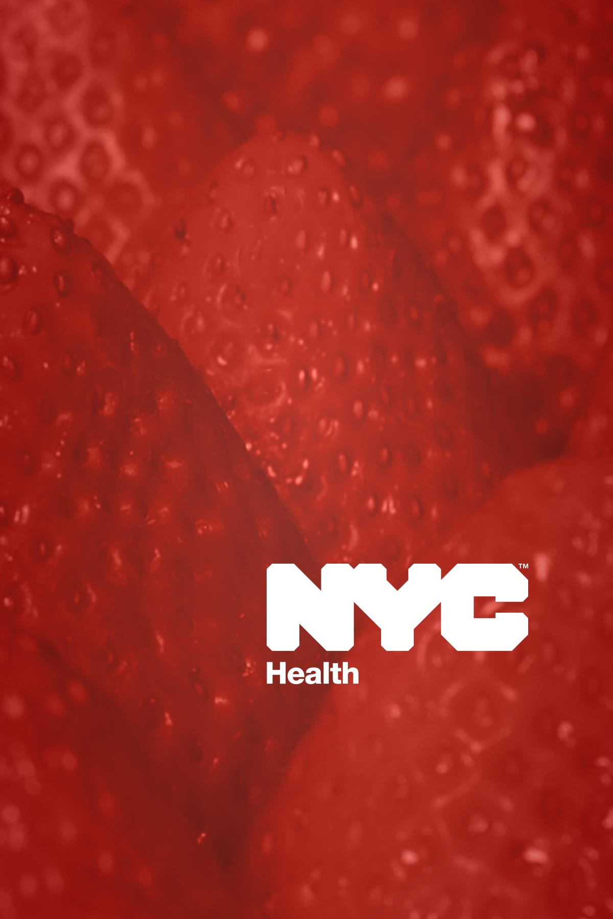 NYCH-thumbnail-03